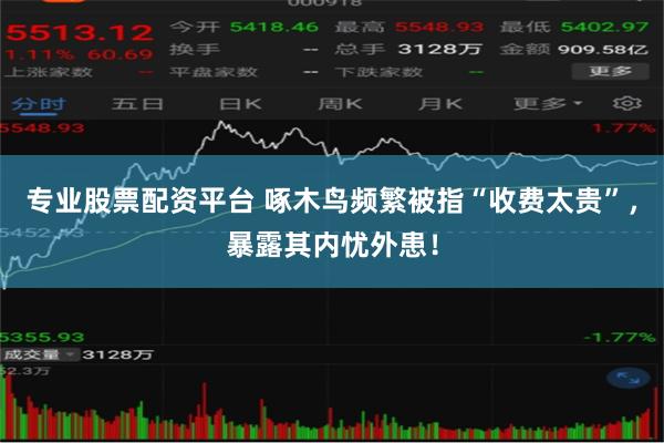 专业股票配资平台 啄木鸟频繁被指“收费太贵”，暴露其内忧外患！