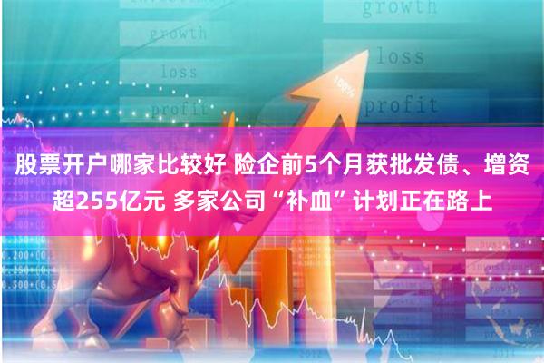 股票开户哪家比较好 险企前5个月获批发债、增资超255亿元 多家公司“补血”计划正在路上