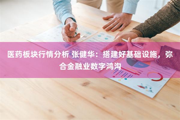医药板块行情分析 张健华：搭建好基础设施，弥合金融业数字鸿沟