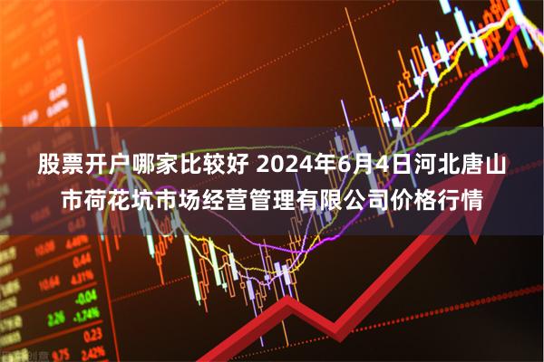 股票开户哪家比较好 2024年6月4日河北唐山市荷花坑市场经营管理有限公司价格行情