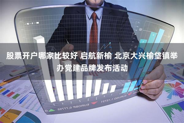 股票开户哪家比较好 启航新榆 北京大兴榆垡镇举办党建品牌发布活动