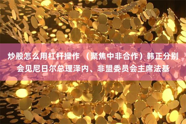 炒股怎么用杠杆操作 （聚焦中非合作）韩正分别会见尼日尔总理泽内、非盟委员会主席法基