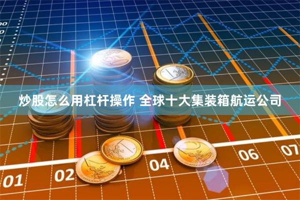 炒股怎么用杠杆操作 全球十大集装箱航运公司