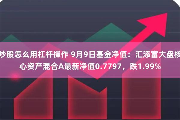 炒股怎么用杠杆操作 9月9日基金净值：汇添富大盘核心资产混合A最新净值0.7797，跌1.99%