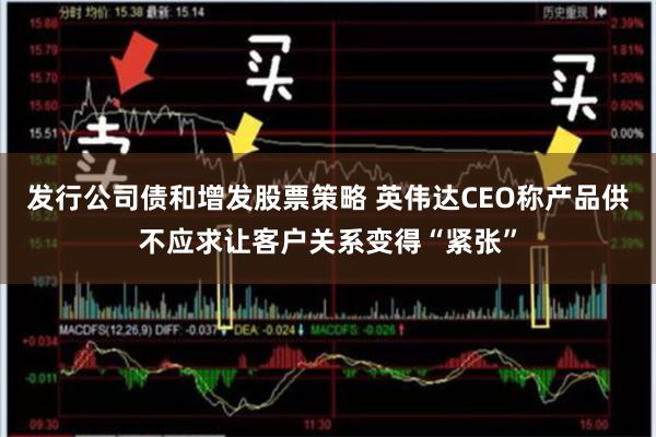 发行公司债和增发股票策略 英伟达CEO称产品供不应求让客户关系变得“紧张”