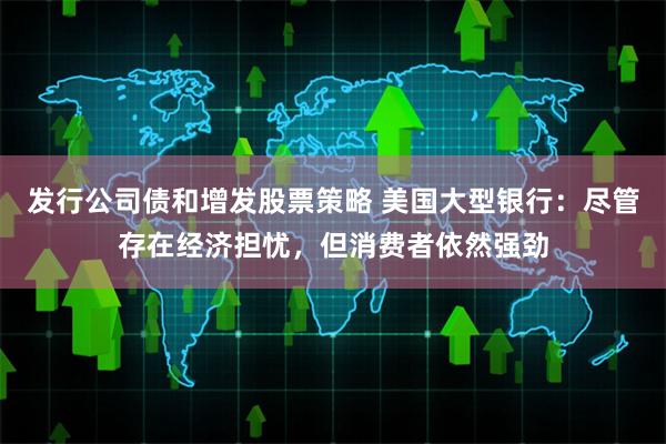 发行公司债和增发股票策略 美国大型银行：尽管存在经济担忧，但消费者依然强劲