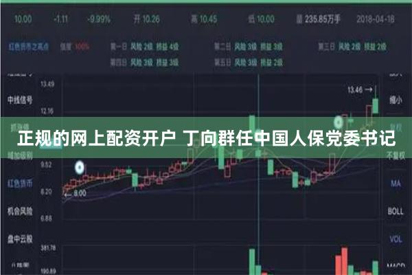 正规的网上配资开户 丁向群任中国人保党委书记