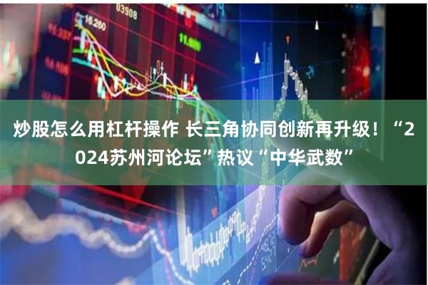 炒股怎么用杠杆操作 长三角协同创新再升级！“2024苏州河论坛”热议“中华武数”
