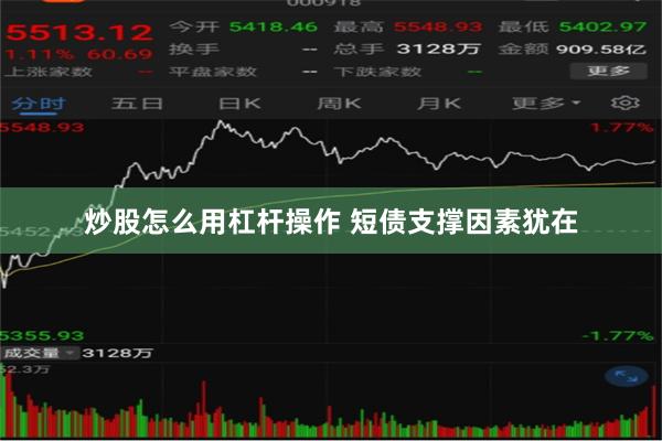 炒股怎么用杠杆操作 短债支撑因素犹在